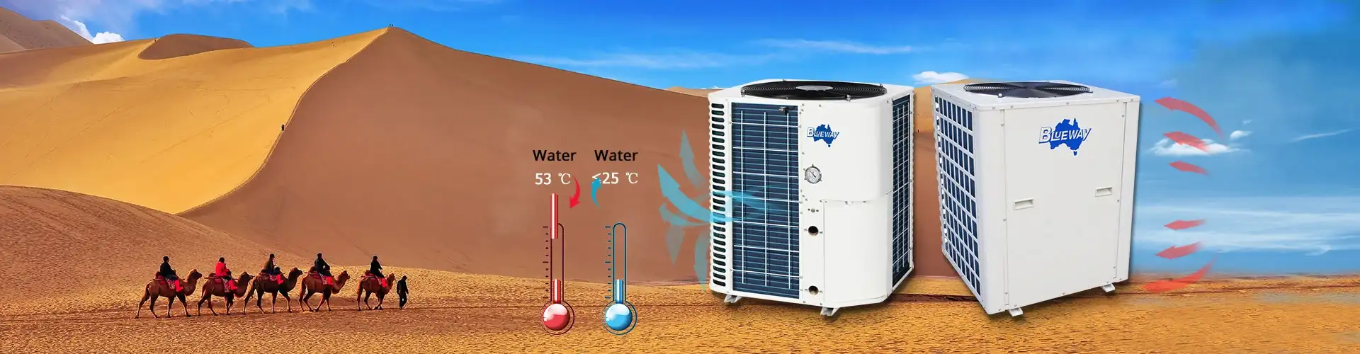 Các sản phẩm