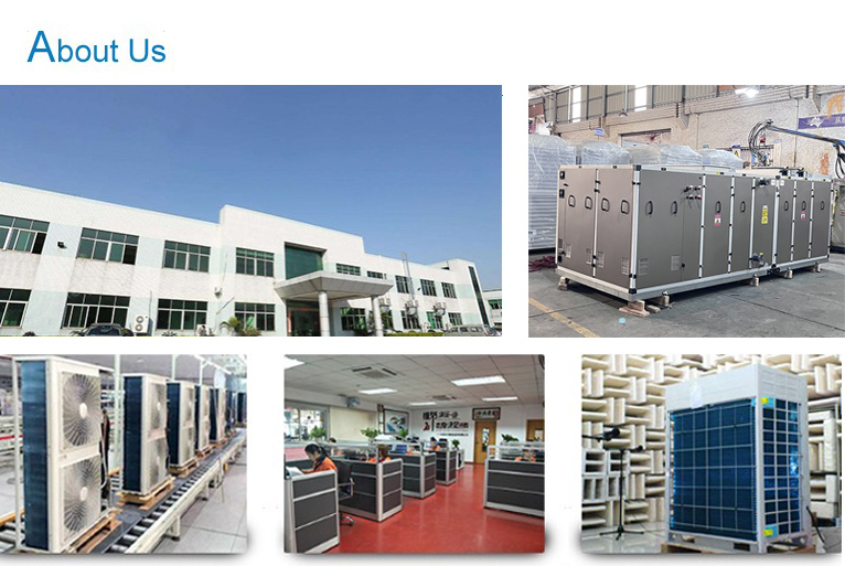 Blueway Shunde Manufacturing Facility